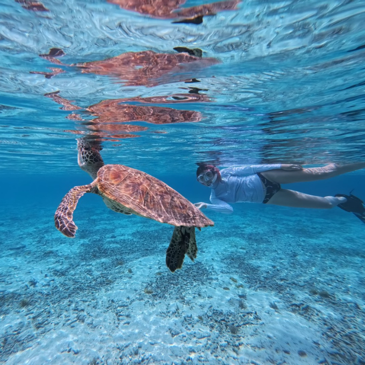 Okinawa: Dive & Detox เที่ยวรอบเกาะโอกินาวา